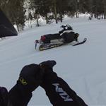 Arctic6