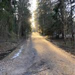 Denromantiskecharmören