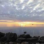 MorgonKaffe77