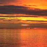 MorgonKaffe77