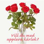 Trevligt tillsammans